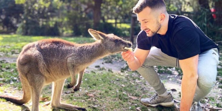 MDMotivator Fake - With a kangaroo